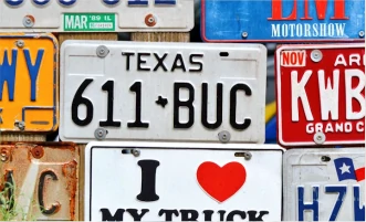 Miniature Video What You Will Get